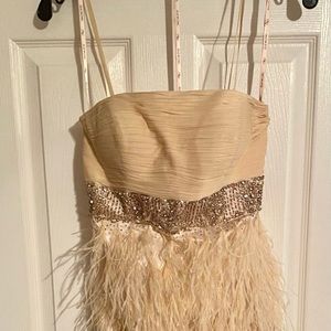 Sue Wong Nocturnal Ostrich feather dress with beads and sequins- worn once-